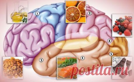 Шесть продуктов, воздействующих на мозг человека | Непознанный мир