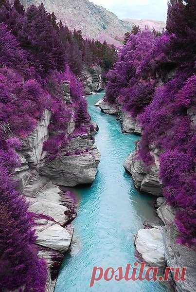 Miya_ПЫЛЬ: Человек может быть ВЕЛИКИМ и благодаря чувствам, а не только уму...