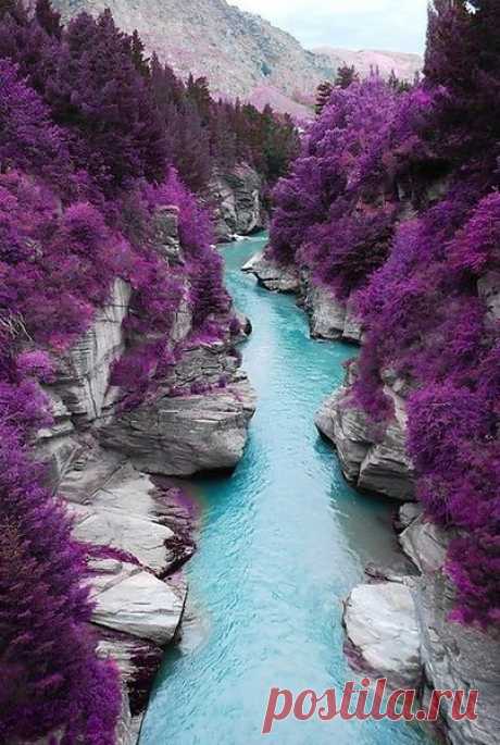 Miya_ПЫЛЬ: Человек может быть ВЕЛИКИМ и благодаря чувствам, а не только уму...