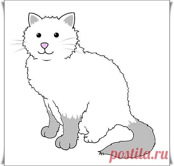 Учимся рисовать Кошку.
