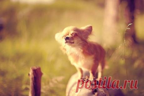 Умейте наслаждаться малым