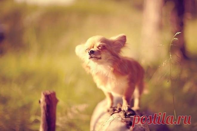 Умейте наслаждаться малым