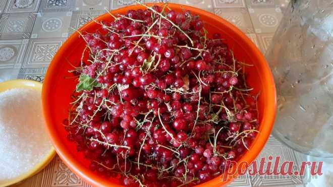 Вино из красной смородины