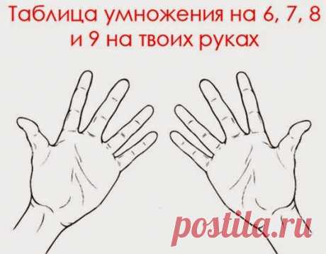 Такому нас не учили в школе