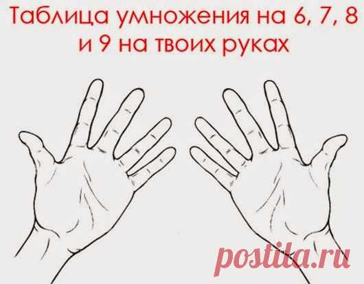 Такому нас не учили в школе