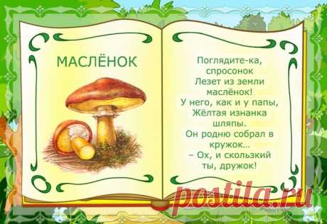 Изучаем названия грибов - Поделки с детьми | Деткиподелки