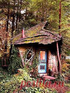 Pinterest