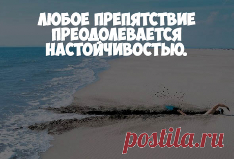 Прикольные картинки про жизнь со смыслом - мудрые, интересные