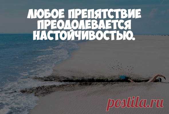 Прикольные картинки про жизнь со смыслом - мудрые, интересные