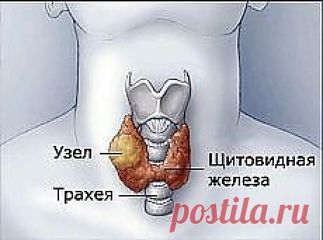 (39 непрочетени) - АБВ поща