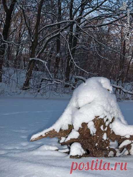 СКАЗОЧНОЕ