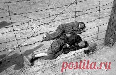 ТАСС-ДОСЬЕ /Ирина Красненкова/. 11 апреля 1945 года узники Бухенвальда подняли восстание и установили контроль над концлагерем. Концлагерь располагался на горе Эттерсберг близ Веймара на территории германской земли Тюрингия. Он был создан в 1937 году по приказу руководства СС / © AP Photo  |  ТАСС: Биографии и справки - Концлагерь Бухенвальд