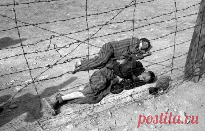 ТАСС-ДОСЬЕ /Ирина Красненкова/. 11 апреля 1945 года узники Бухенвальда подняли восстание и установили контроль над концлагерем. Концлагерь располагался на горе Эттерсберг близ Веймара на территории германской земли Тюрингия. Он был создан в 1937 году по приказу руководства СС / © AP Photo  |  ТАСС: Биографии и справки - Концлагерь Бухенвальд