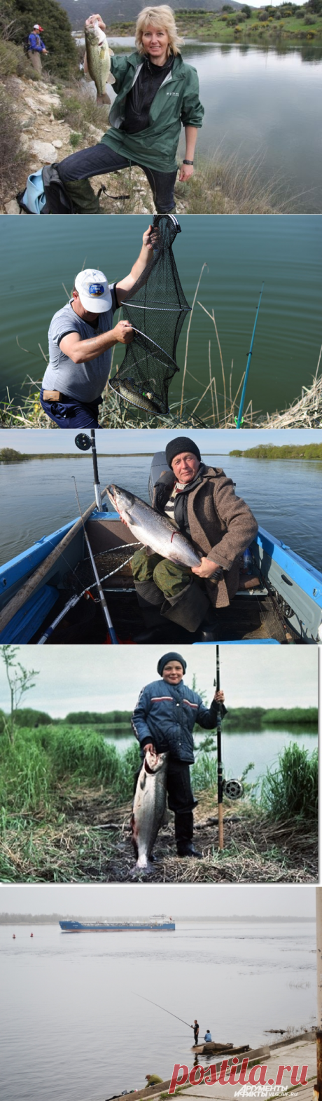 8 самых рыбных мест Волгоградской области | ОБЩЕСТВО: Экология | ОБЩЕСТВО | АиФ Волгоград