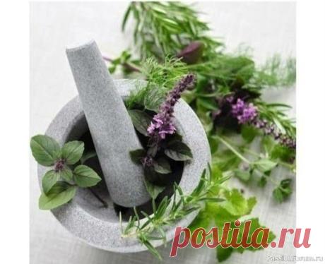 Народная медицина разных стран. Рецепты для здоровья и красоты