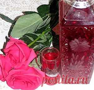 Водка с клюквой рецепт | Проблем нет Дом, семья, здоровье, , красота, мода и стиль, кулинарные рецепты, народная медицина, праздники, полезные советы