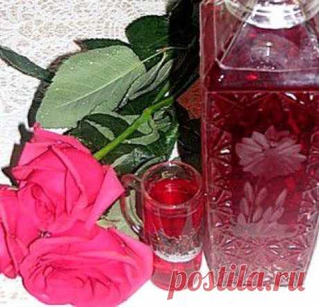 Водка с клюквой рецепт | Проблем нет Дом, семья, здоровье, , красота, мода и стиль, кулинарные рецепты, народная медицина, праздники, полезные советы