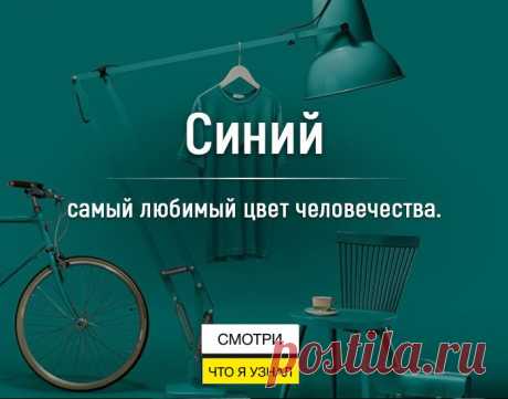 Смотри, что я узнал