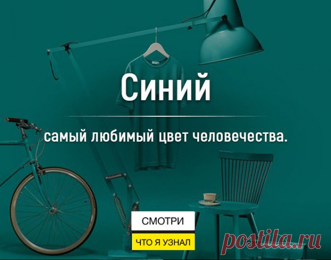 Смотри, что я узнал