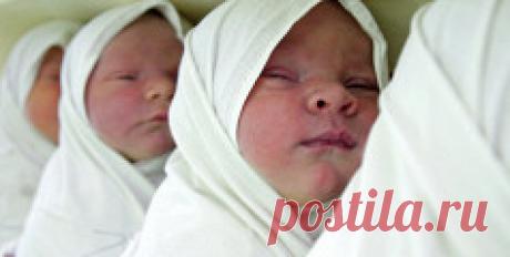 Обзор зарубежной прессы: Первая смерть в космосе — Рамблер/новости