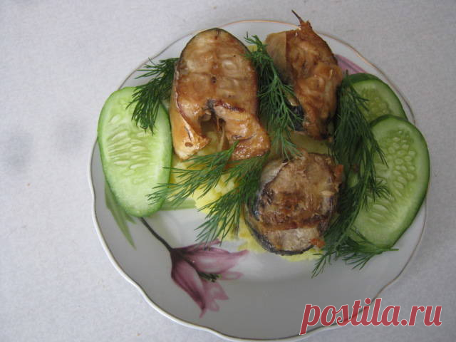 Скумбрия  