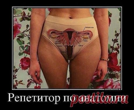 ★ СИМ - САЛАБИМ ★   обо всем с улыбкой ヅ ➊❽✚
Остап-Сулейман Бендер-Бей