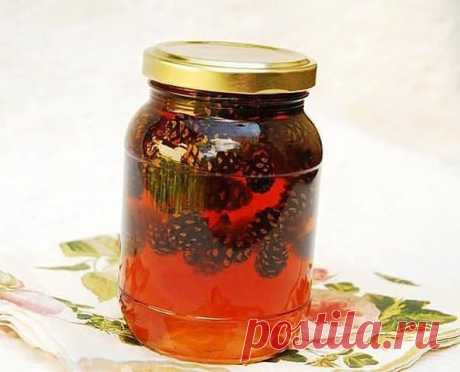 ​ЛЕЧЕБНЫЙ СИРОП ИЗ ЕЛОВЫХ ШИШЕК.