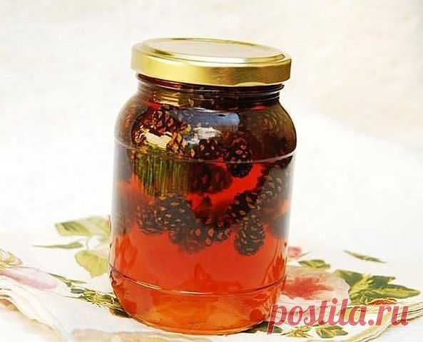 ​ЛЕЧЕБНЫЙ СИРОП ИЗ ЕЛОВЫХ ШИШЕК.