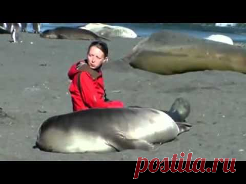 Удивительная встреча! / Видеохит - лучшее видео интернета