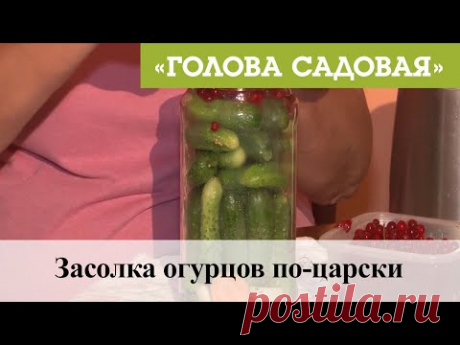 Голова садовая - Засолка огурцов по-царски
