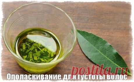 Отвар с лавровым листом усиливает кровоснабжение волосяных луковиц, в результате чего волосы начинают расти быстрее и гуще!
Для этого нужно совсем немного:
1. Небольшую горсть лавровых листьев кипятят в литре воды в течении 20 минут.
2. Полученным отваром следует ополаскивать волосы после каждого мытья головы.
