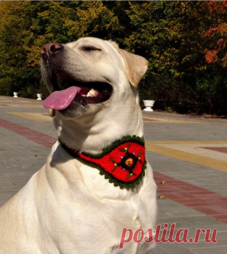 Обереги для питомцев (собак и котов), а также для домашнего скота своими руками