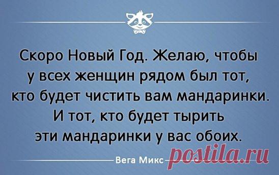 * * * * * * * * * * * *