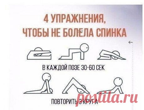#спортивный_журнал