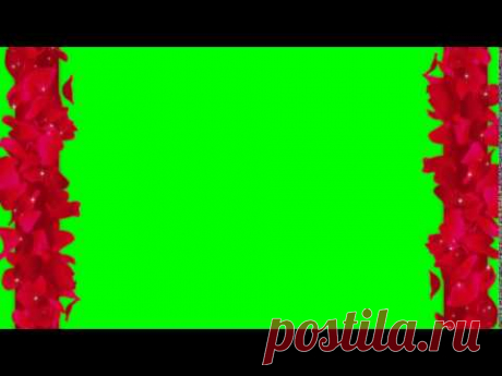 Футаж Лепестки роз вертикально хромакей
