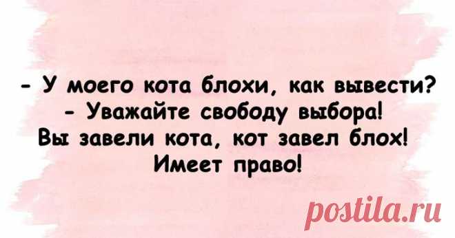 Настало время для очередной порции отборного юмора