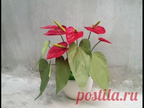 ABC TV | How To Make  Anthurium Paper Flower From Crepe Paper - Craft Tutorial