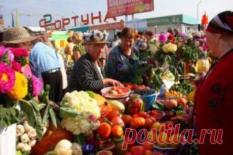 Сезонный календарь овощей и фруктов: когда и что покупать. Советы от знакомого поставщика! — Копилочка полезных советов
