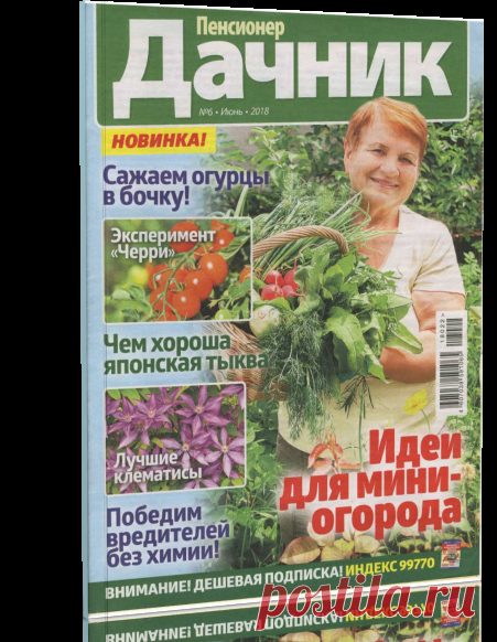 Читать журнал Пенсионер дачник №6 2018 бесплатно.