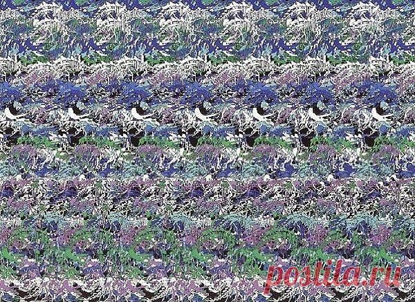 (3) Одноклассники