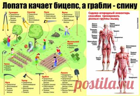 Врач прописал вам садоводство

#болтовня_КС

Краткое руководство к долгой жизни» - профессор Дэвид Агус
Показать полностью…