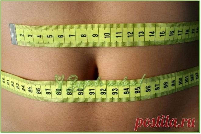 Основные принципы похудения.
