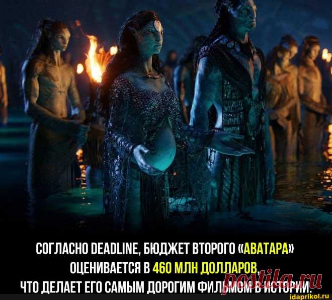 Мем-картинка ZiDfEpb8A от GadinkaUZ - ) / АйДаПрикол .)