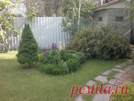 Наши работы — Landscape.kz, ландшафтный дизайн в Алматы,садовник в Алматы, альпийские горки, водоемы в Алматы, пруды в Алматы, газоны в Алматы, водопады в Алматы, поливочная система в Алматы, ландшафтное проектирование в Алматы, сады на крыше в Алматы, новогоднее оформление в Алматы, хвойные лиственные крупномеры в Алматы.