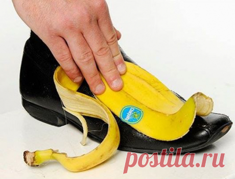 Вторая жизнь банановой кожуры