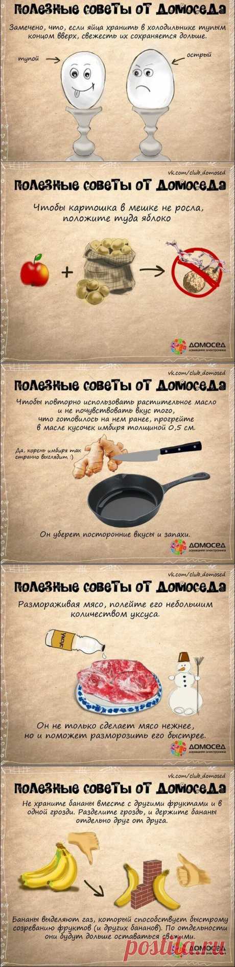 19 советов по домашнему хозяйству..