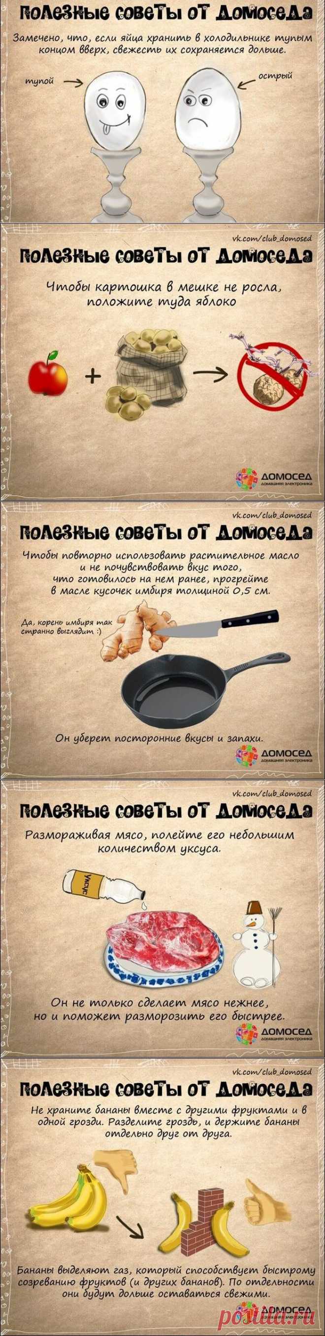 19 советов по домашнему хозяйству..