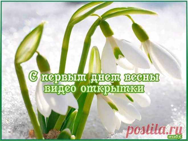 Видео открытки с первым днем весны. Скачать * МУЗыкальный подарОК Первое марта - поздравляем с первым днем весны! Скачать бесплатно красивые, оригинальные видео открытки с первым днем весны