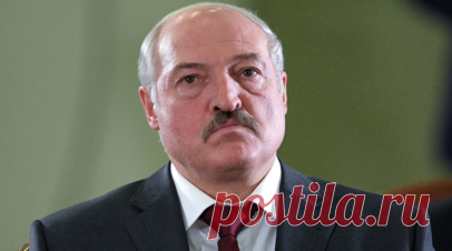 Лукашенко: в Белоруссии есть диктатура безопасности и справедливости. Белорусский лидер Александр Лукашенко заявил, что в стране есть диктатура, и это диктатура безопасности и справедливости. Читать далее