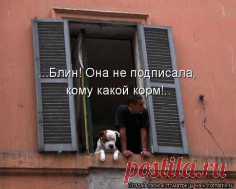 Корм
